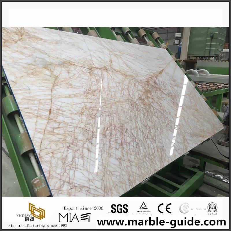 Golden Spider Marble Slabs Price 1