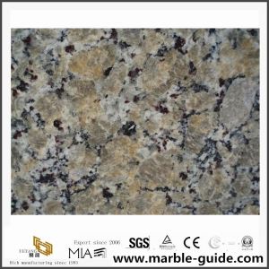 Butterfly beige granit countertops