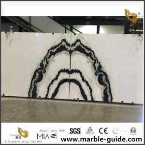 Popular Panda White Marble za dizajn enterijera